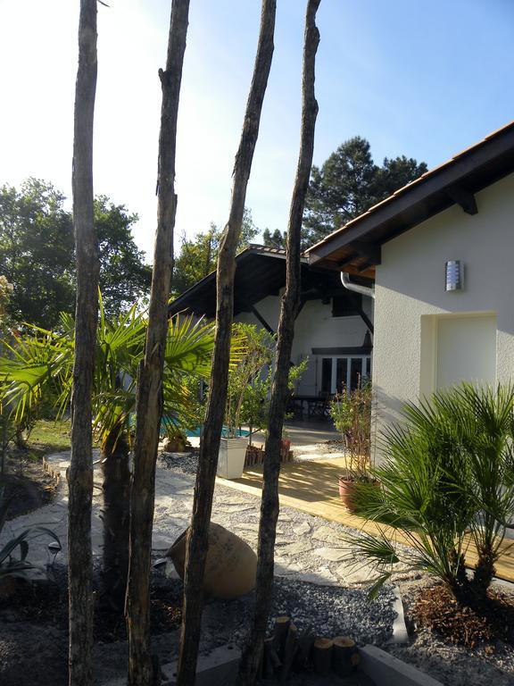 Villa Mogador Piscine Et Balneo Andernos-les-Bains Exteriér fotografie